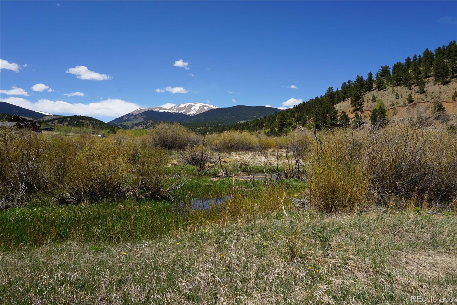 32 Smokey Rock Road Bailey, CO 80421 - Photo 31 of 36