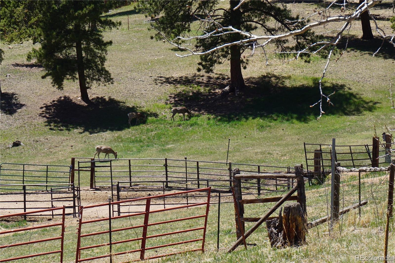 32 Smokey Rock Road Bailey, CO 80421 - Photo 4 of 36