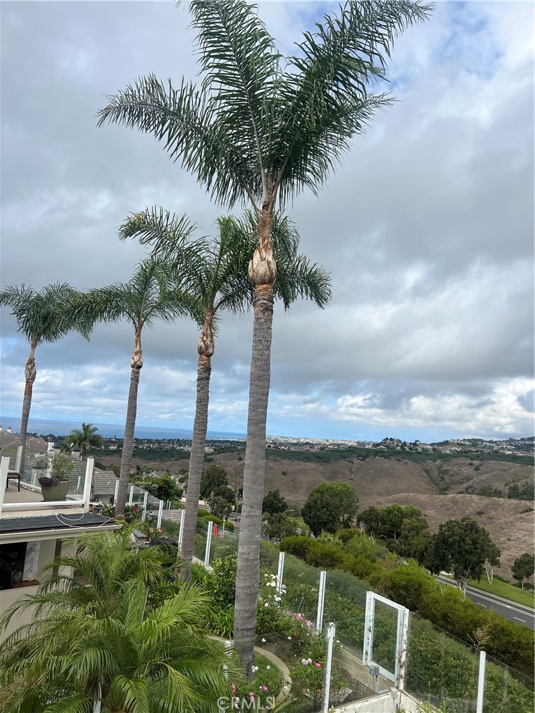 2420 Via Mero San Clemente, CA 92673 - Photo 7 of 7 a view of an outdoor space with mountain view