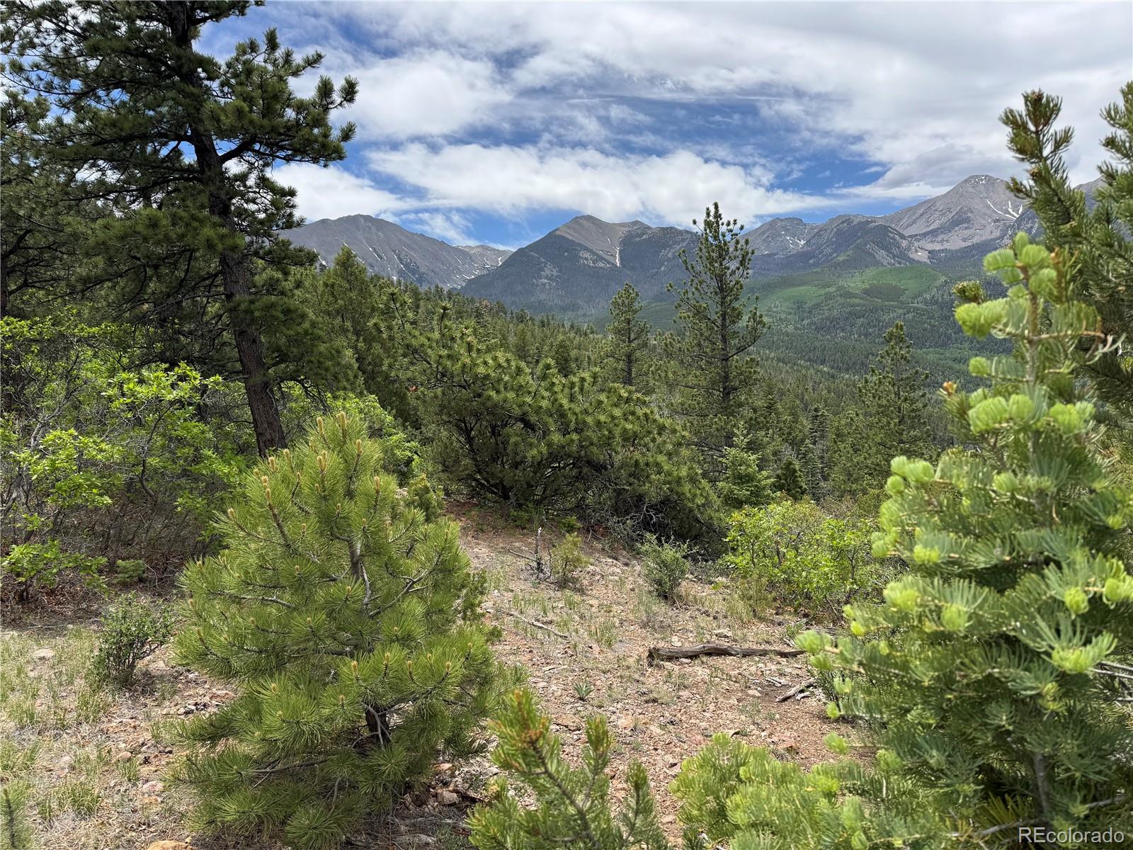 Lot 54 Knotty Pine Road Salida, CO 81201 - Photo 2 of 3