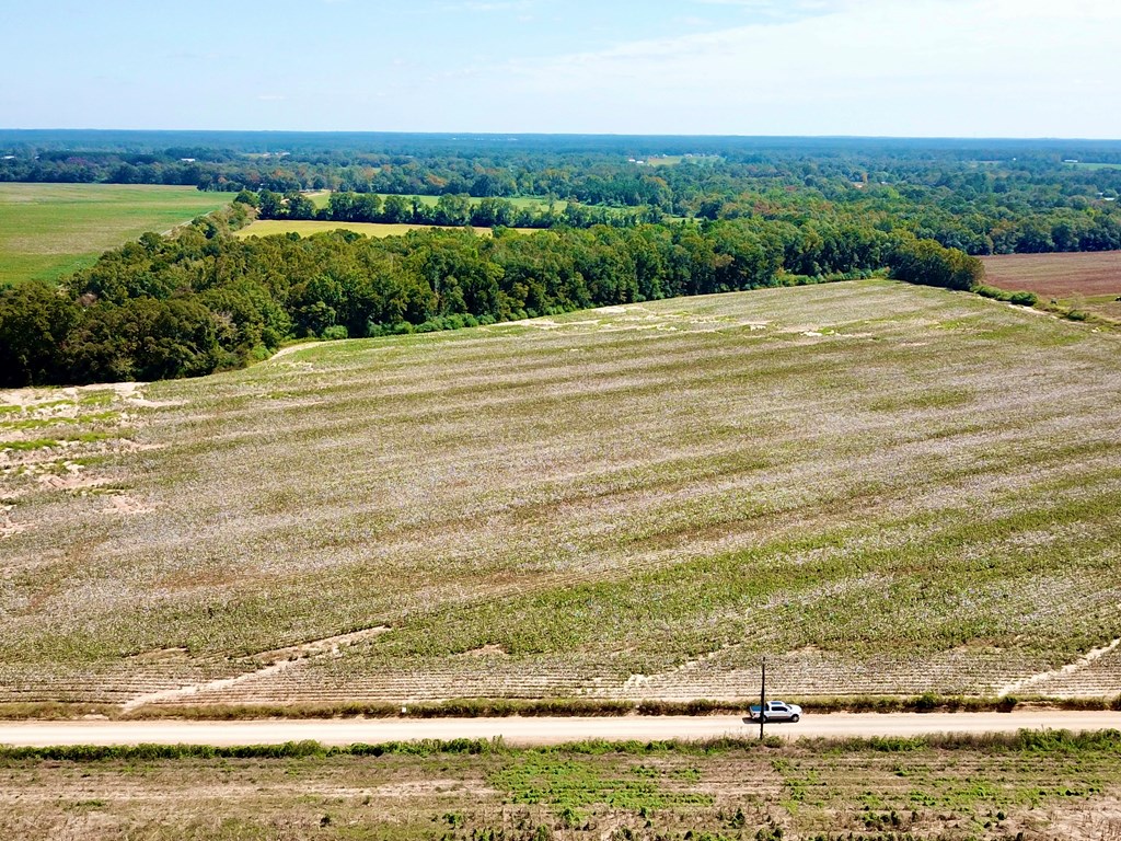 7-acres Underwood Mill Road Dothan, AL 36301 - Photo 6 of 11