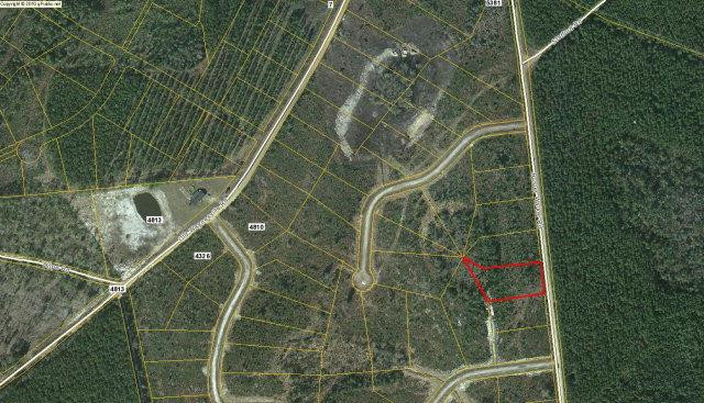 Lot 40 Buster Walker Road Waynesville, GA 31566 - Photo 1 of 1 Gallery Image 1
