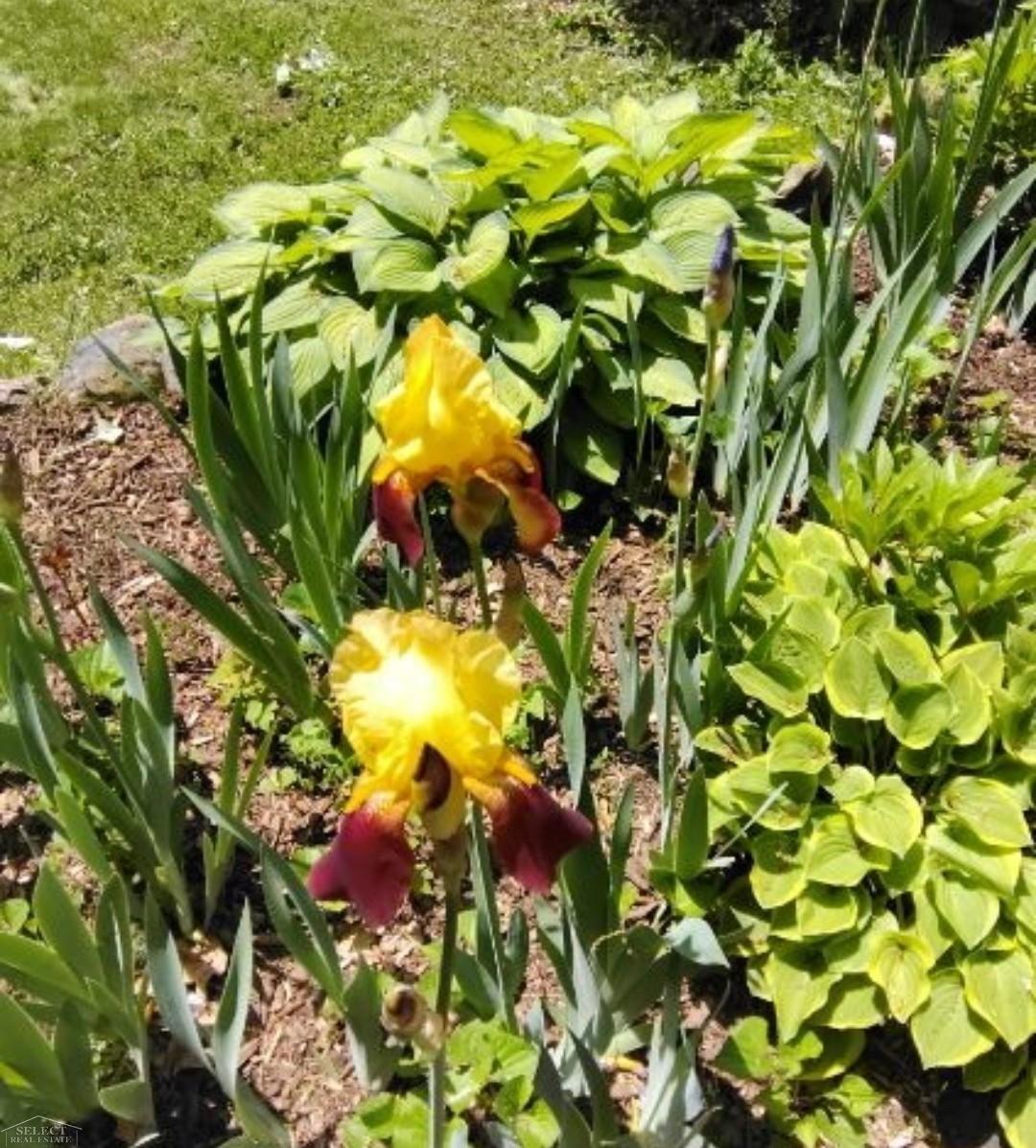 7241 Bryce Road North Street, MI 48049 - Photo 57 of 64 Gallery Image 57