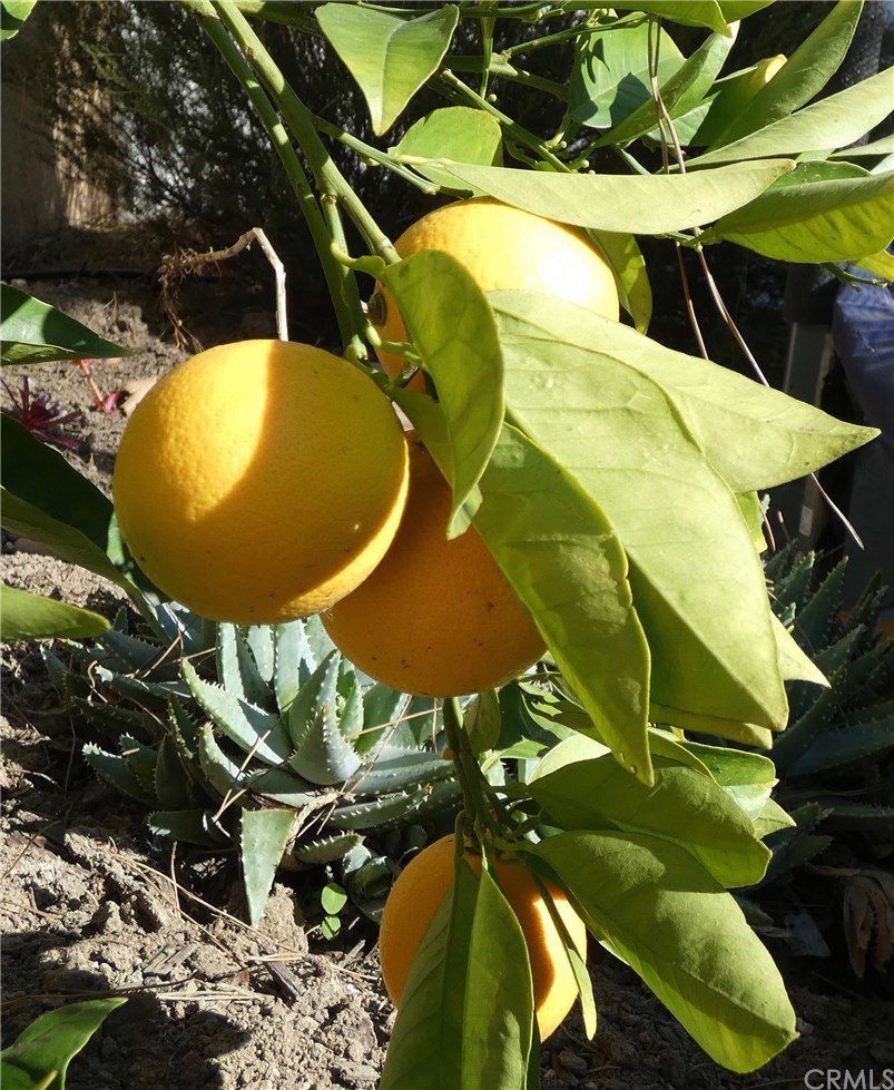 28445 Yosemite Drive Lake Forest, CA 92679 - Photo 19 of 43