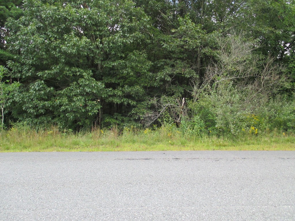Lot 2 Otter River Road Templeton, MA 01468 - Photo 1 of 8 Gallery Image 1