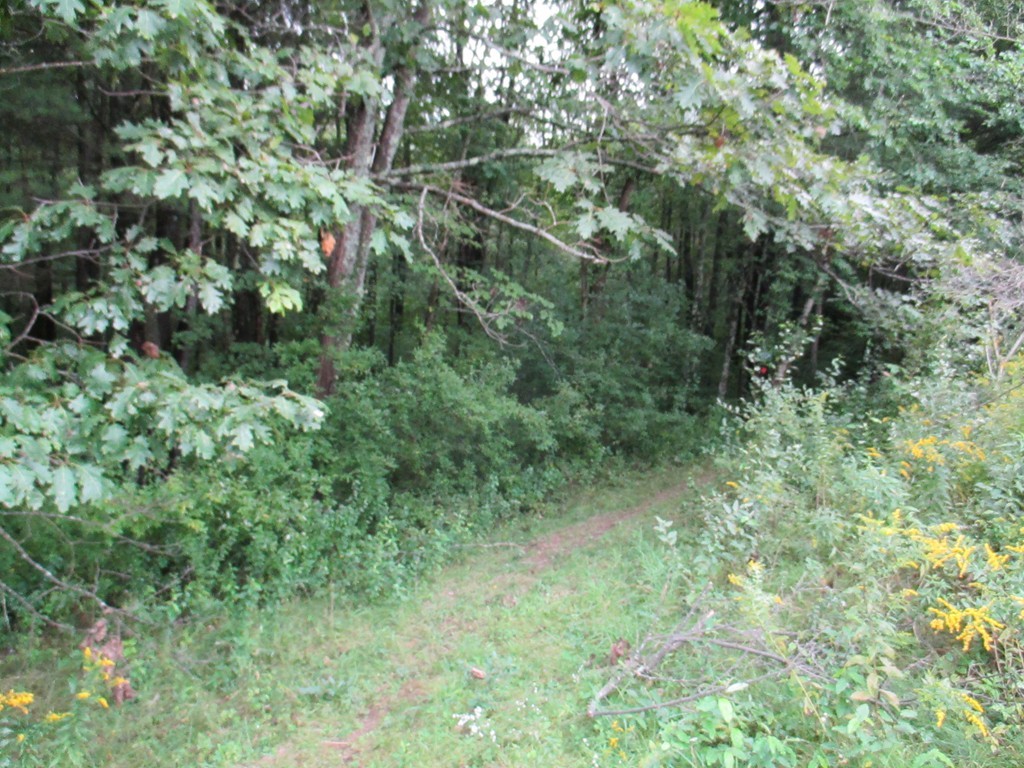 Lot 2 Otter River Road Templeton, MA 01468 - Photo 3 of 8 Gallery Image 3