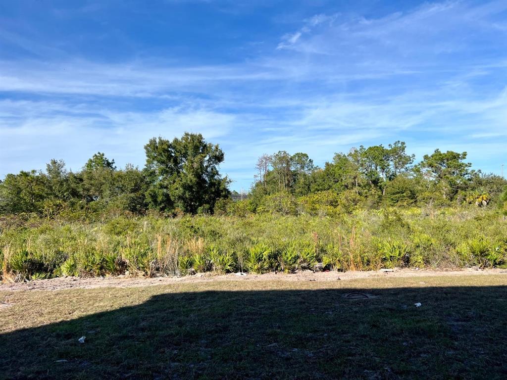 4501 Burrowing Owl Loop St. Cloud, FL 34772 - Photo 11 of 17