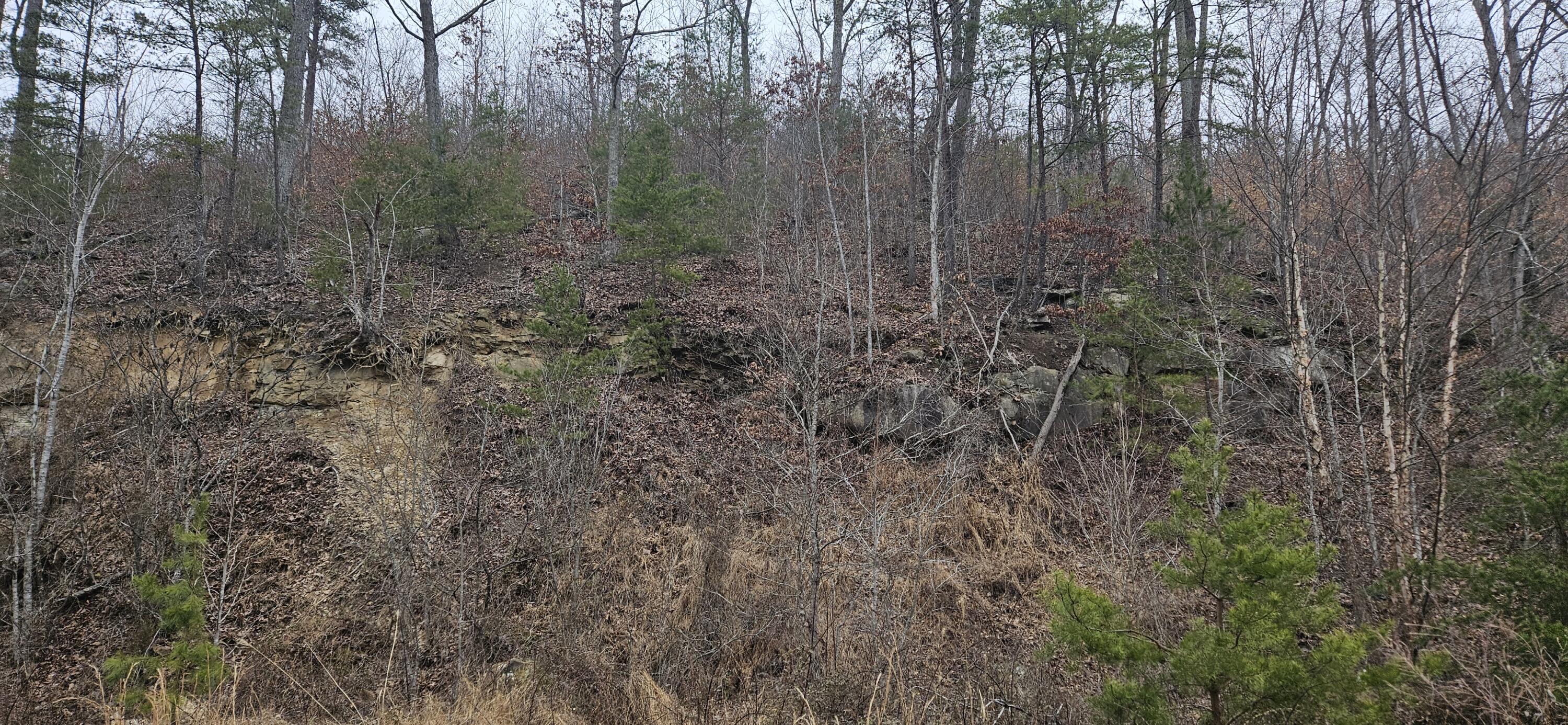 0 Trace Branch Road Barbourville, KY 40906 - Photo 2 of 9 20250205_093940