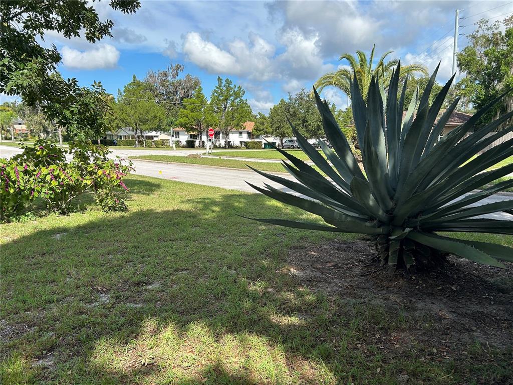 102 East Pendleton Avenue Eustis, FL 32726 - Photo 33 of 33