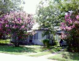608 Lexington Road Elgin, TX 78621 - Photo 1 of 1 a house view with a sitting space and garden