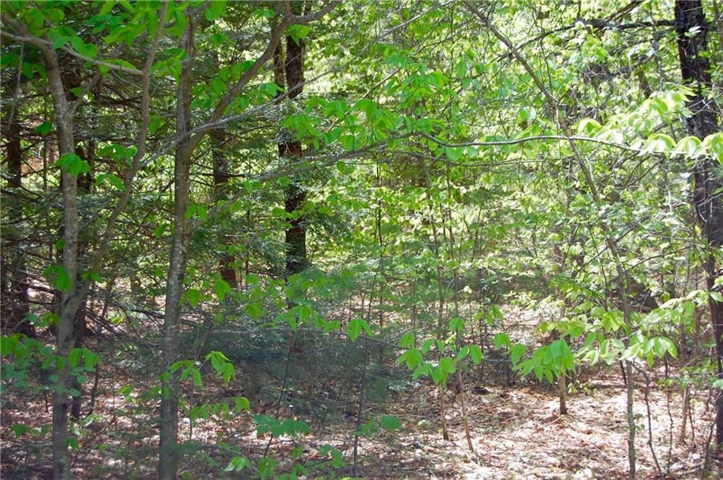 10 Shore Road Kents Hill, ME 04349 - Photo 12 of 20 Additional Photo