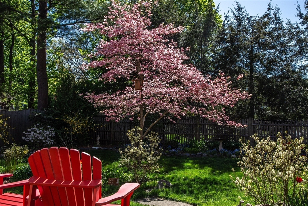 16 Beverly Road Natick, MA 01760 - Photo 32 of 37 a view of backyard with seating area and trees