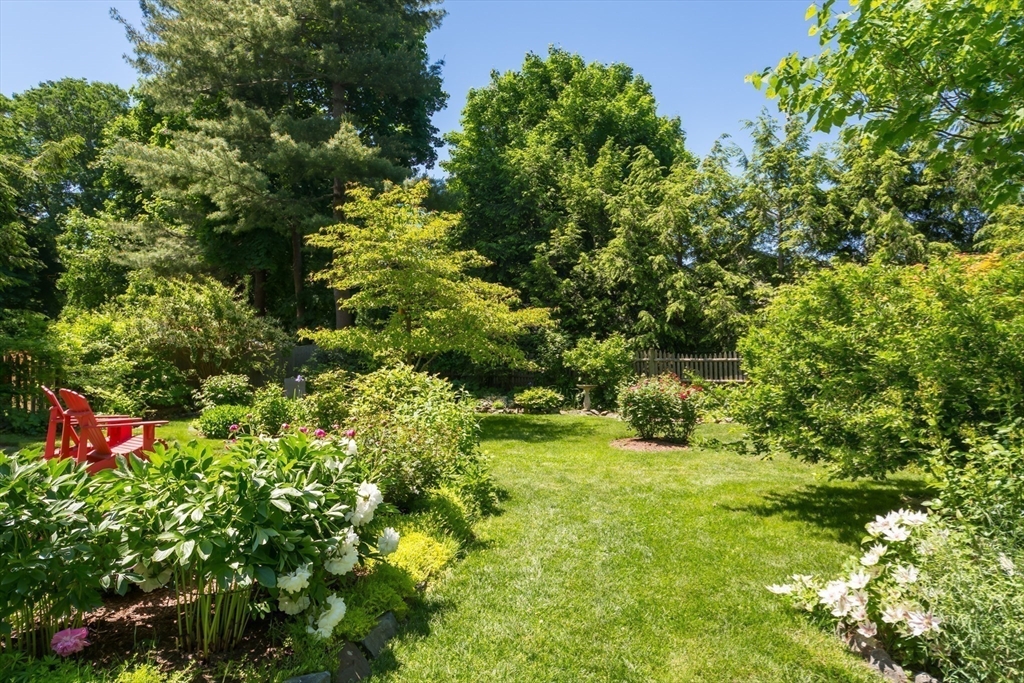 16 Beverly Road Natick, MA 01760 - Photo 33 of 37 a plant view