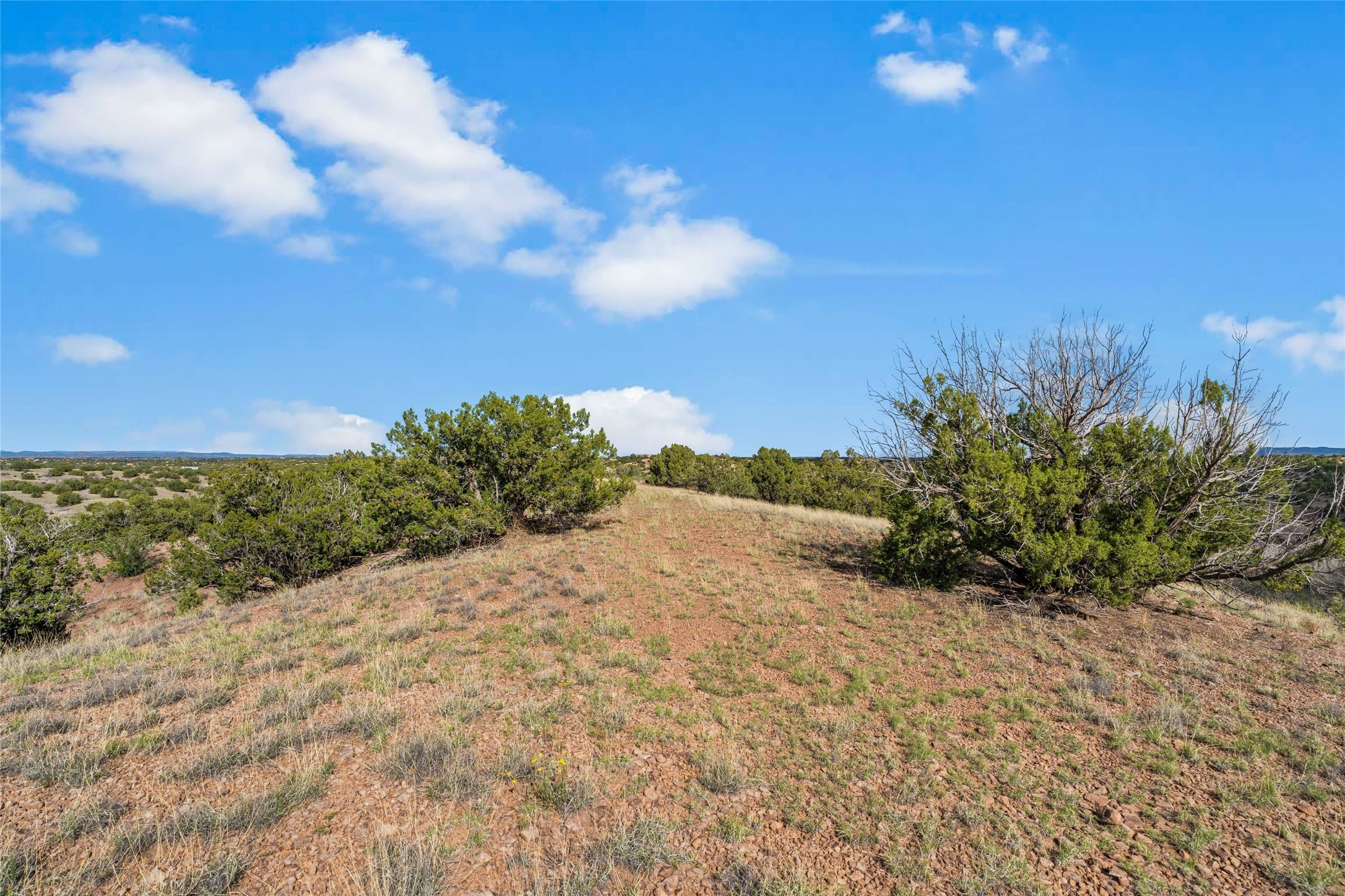 31 Gallina Road Santa Fe, NM 87508 - Photo 17 of 19