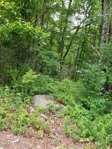 $3,750,000 | 186 Spring Street, Hopkinton, MA 01748