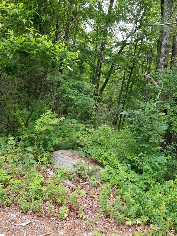 186 Spring Street Hopkinton, MA 01748 - Photo 6 of 10