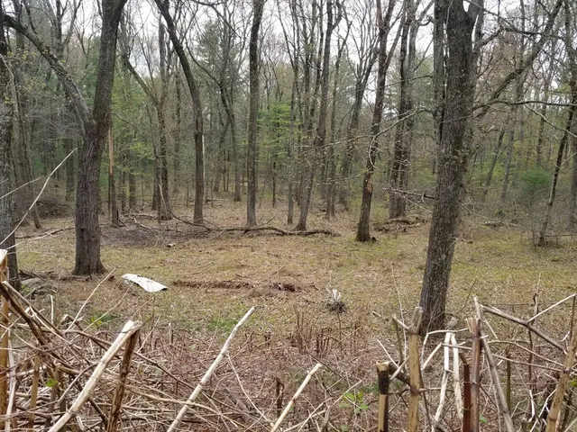 $3,750,000 | 186 Spring Street, Hopkinton, MA 01748