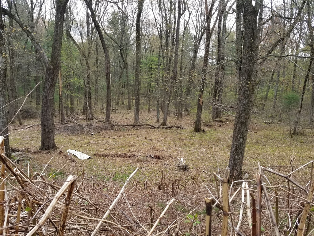 186 Spring Street Hopkinton, MA 01748 - Photo 8 of 10