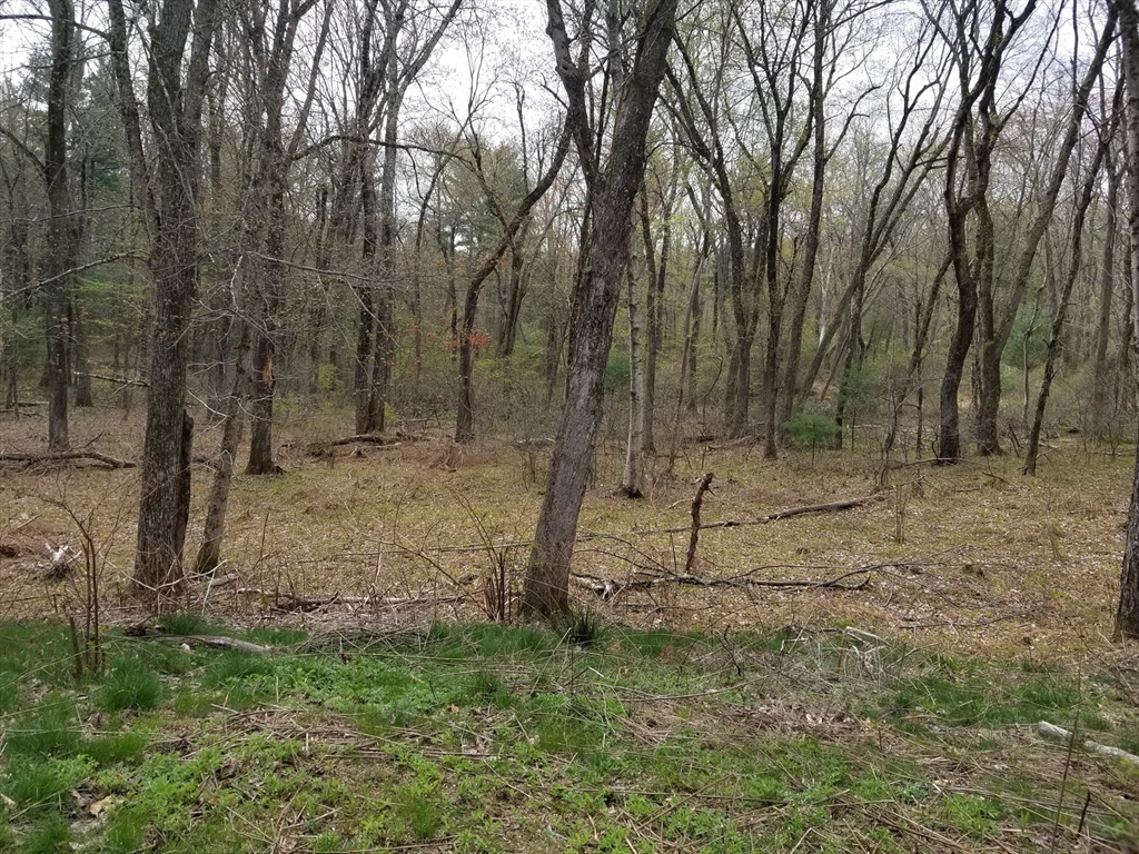 186 Spring Street Hopkinton, MA 01748 - Photo 9 of 10