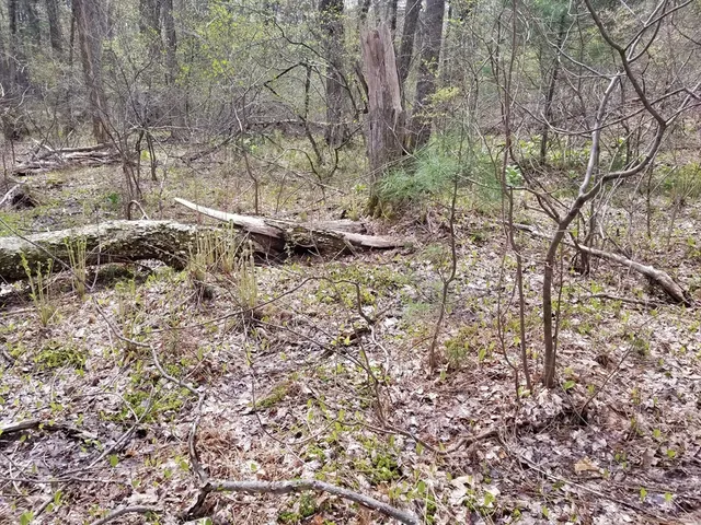 $3,750,000 | 186 Spring Street, Hopkinton, MA 01748