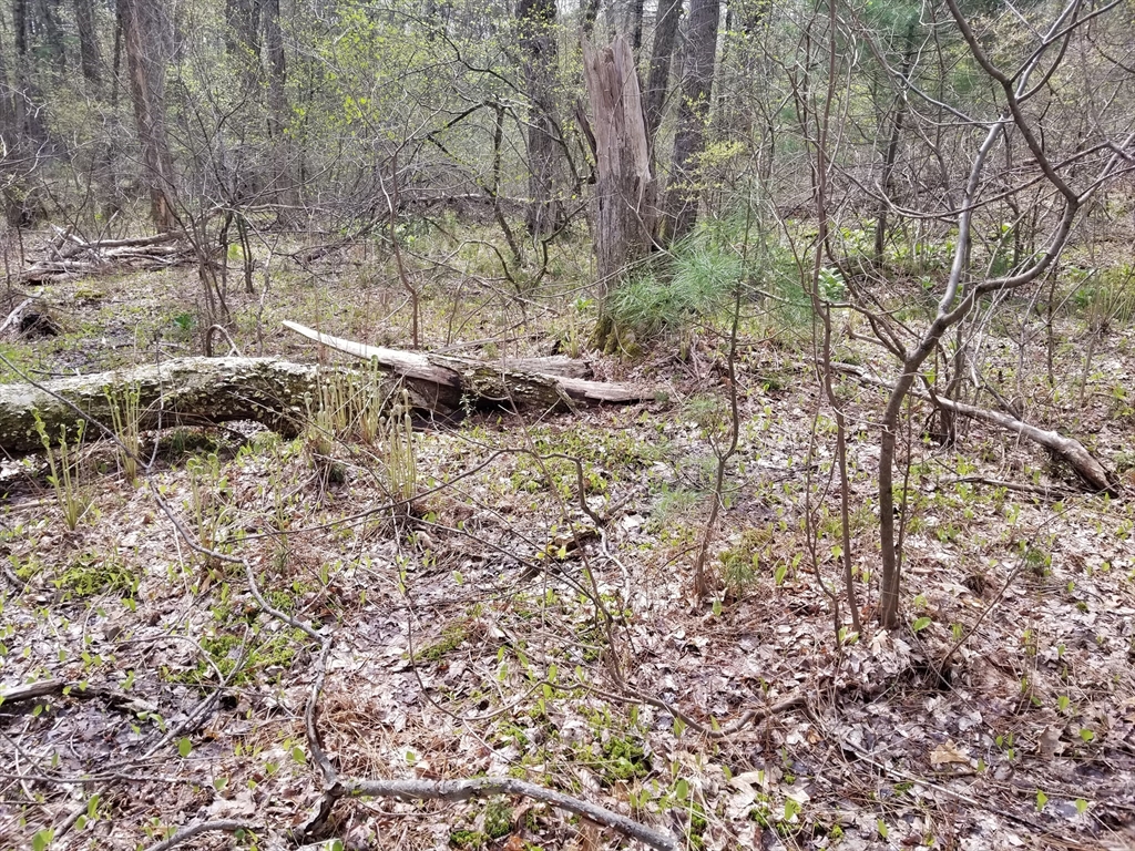 186 Spring Street Hopkinton, MA 01748 - Photo 10 of 10