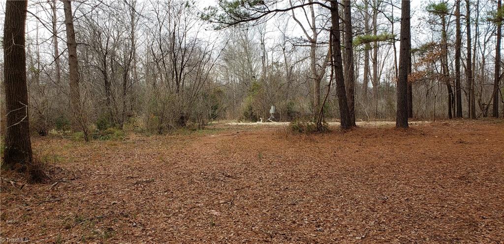 4433 Mineral Springs Road Graham, NC 27253 - Photo 2 of 8 Gallery Image 2