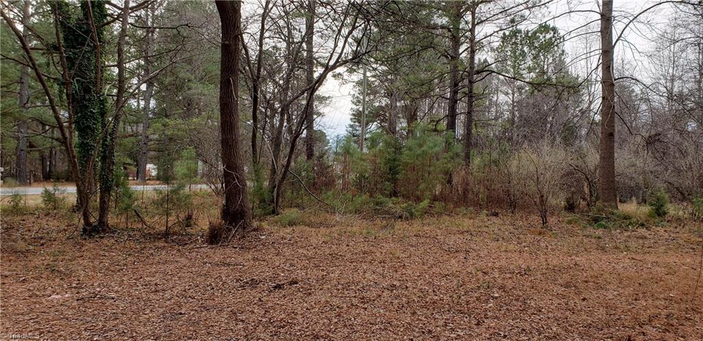 4433 Mineral Springs Road Graham, NC 27253 - Photo 4 of 8 Gallery Image 4