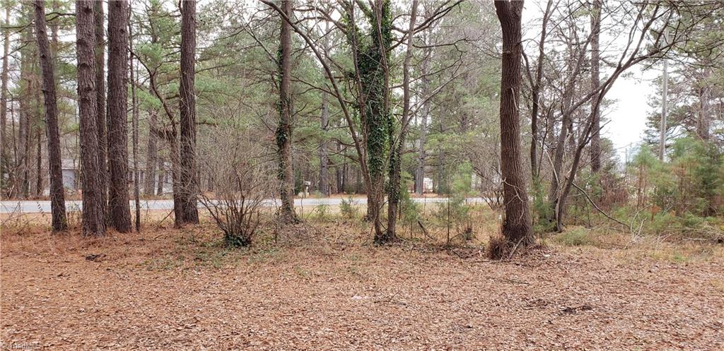 4433 Mineral Springs Road Graham, NC 27253 - Photo 5 of 8 Gallery Image 5