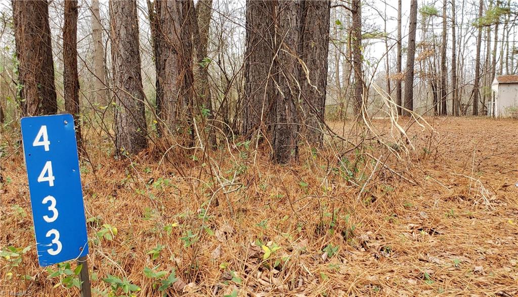4433 Mineral Springs Road Graham, NC 27253 - Photo 8 of 8 Gallery Image 8