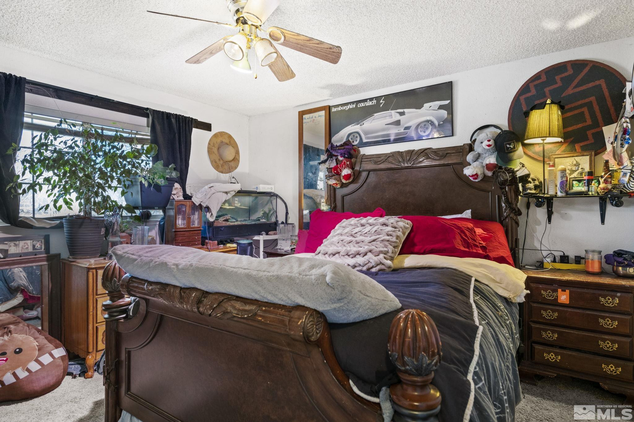 207 Ring Road Dayton, NV 89403 - Photo 22 of 40 a bed room with a bed and a potted plant