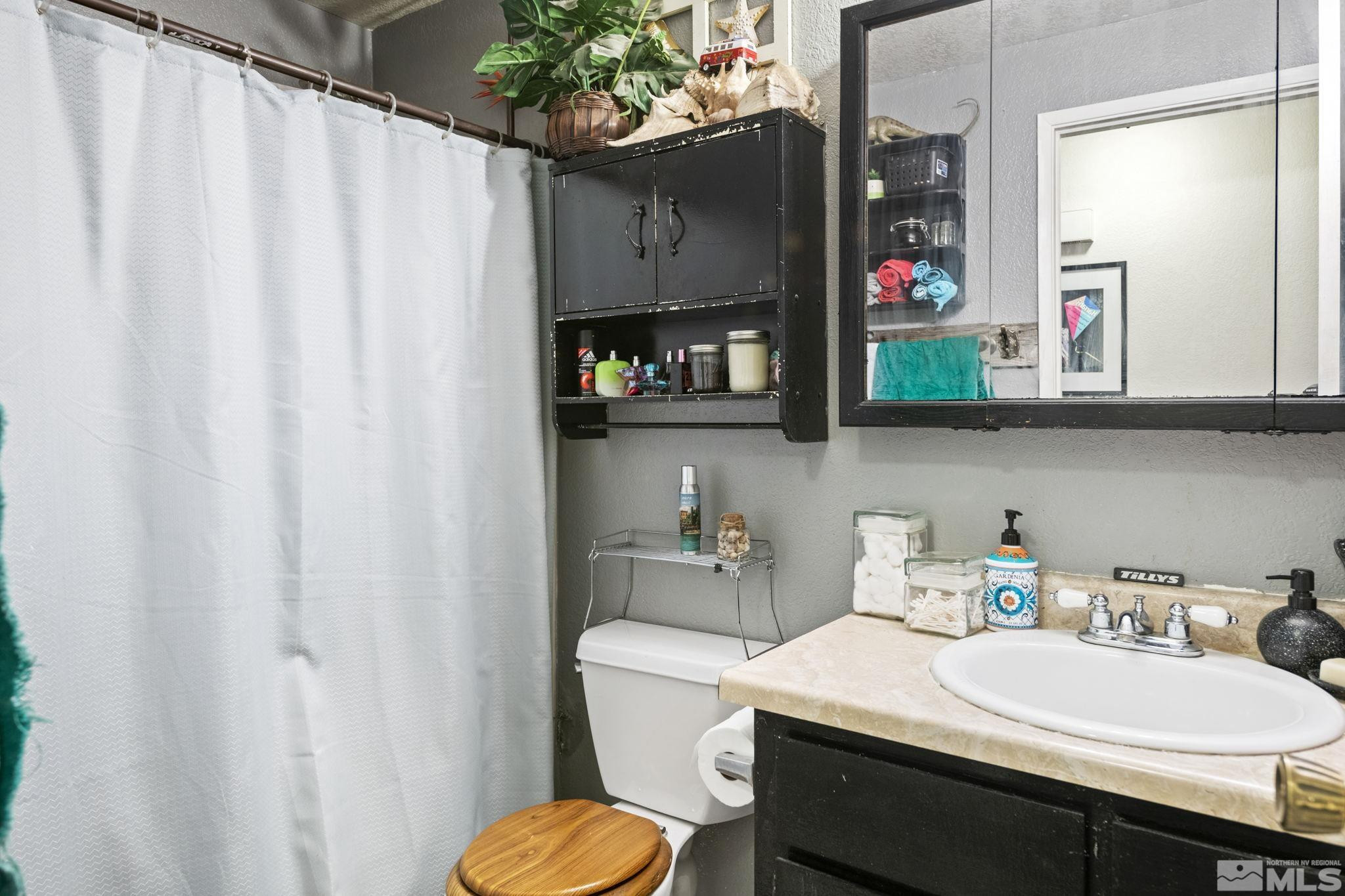 207 Ring Road Dayton, NV 89403 - Photo 24 of 40 a bathroom with a sink a toilet and shower curtain