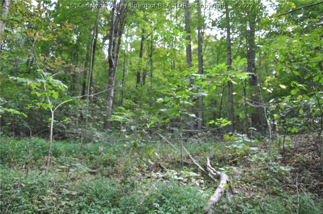 0 Fuquays Creek Road Sod, WV 25564 - Photo 18 of 21 Gallery Image 18