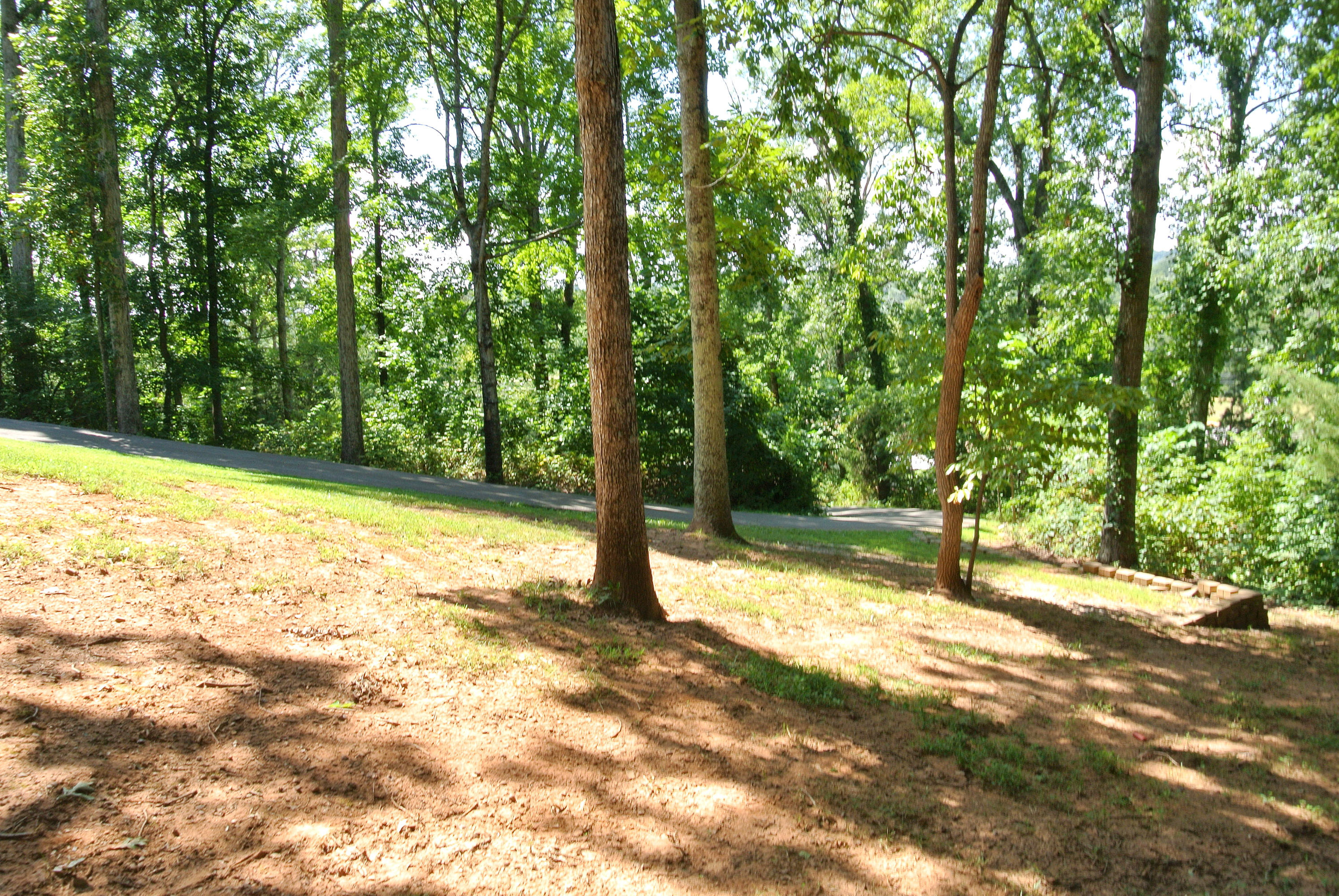 744 North Union Grove Road Friendsville, TN 37737 - Photo 34 of 40 DSC_7682
