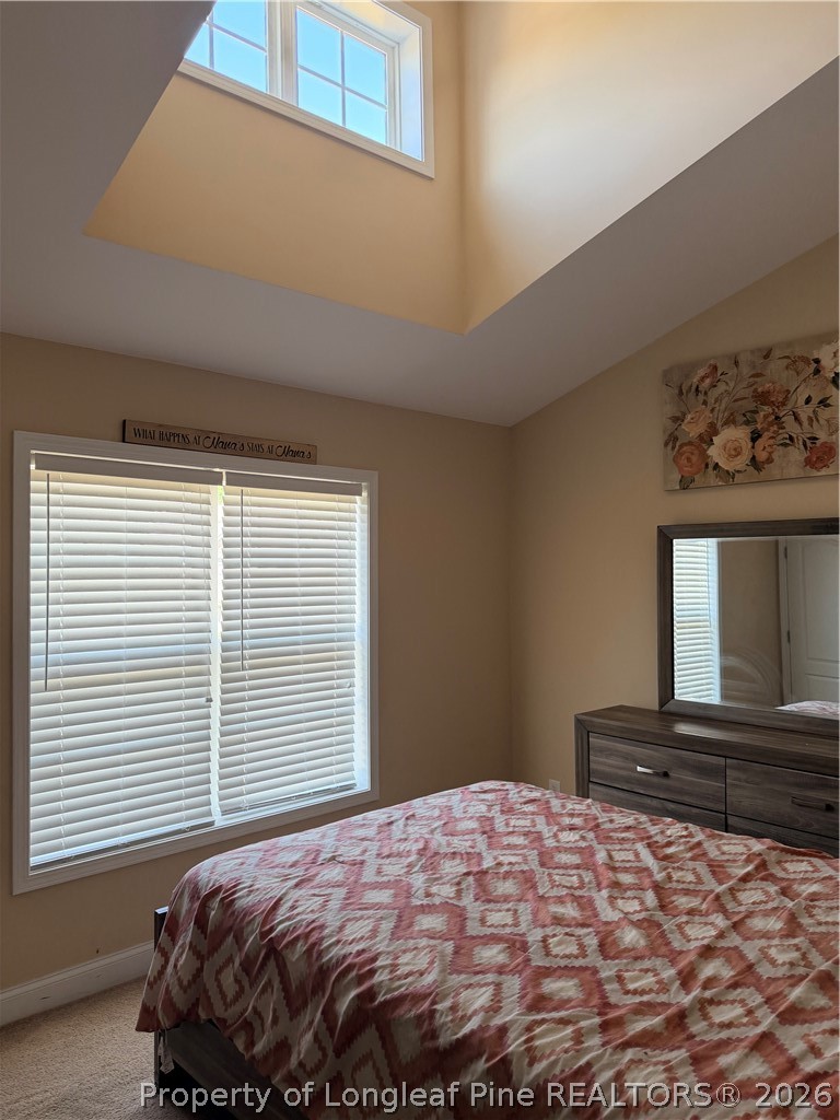 940 Pecan Grove Loop Hope Mills, NC 28348 - Photo 16 of 19