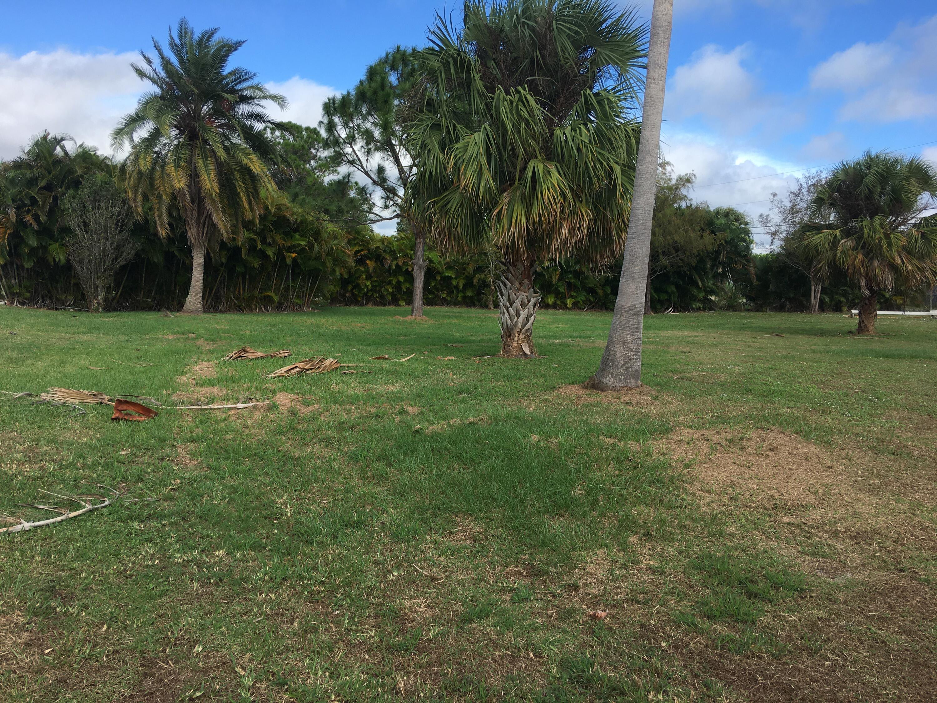 450 Southwest Ryder Road Port St. Lucie, FL 34953 - Photo 3 of 6 Right middle of lot looking forward