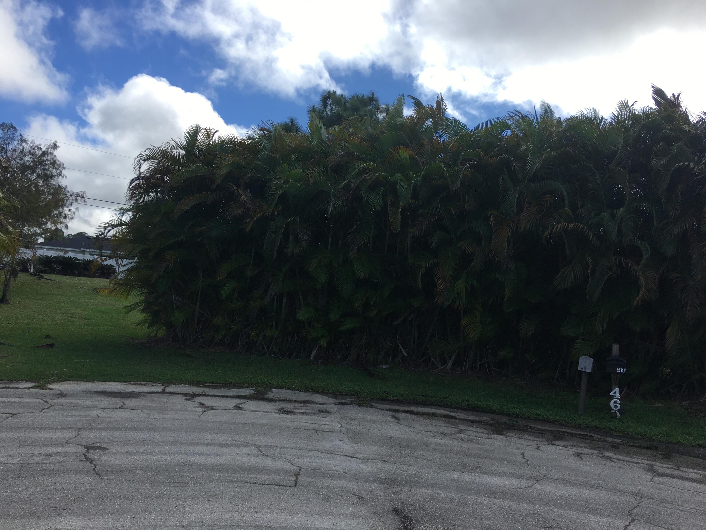 450 Southwest Ryder Road Port St. Lucie, FL 34953 - Photo 5 of 6 Street veiw Mature Areca trees for priva