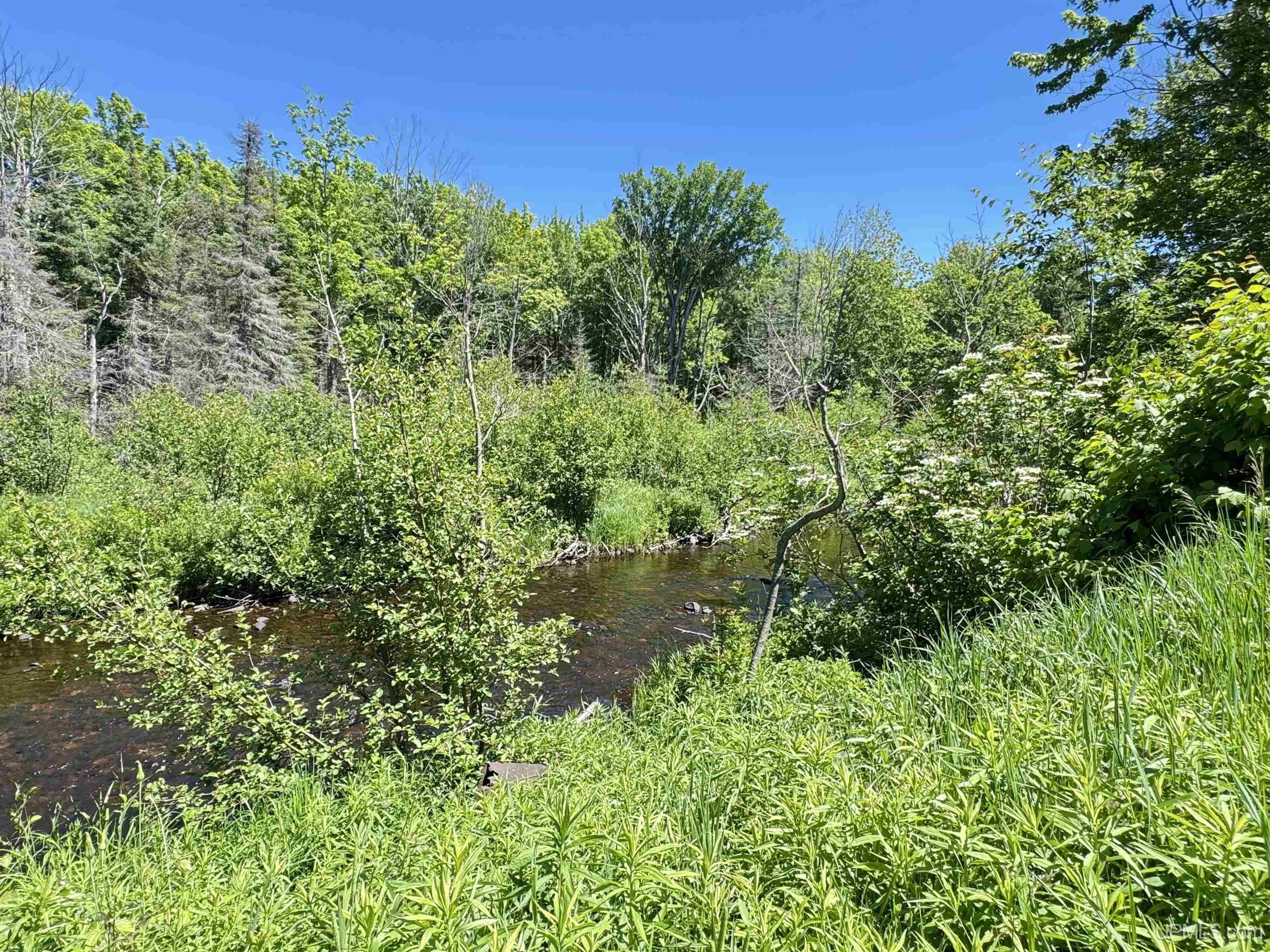 N8766 Peter White Road Deerton, MI 49822 - Photo 53 of 56