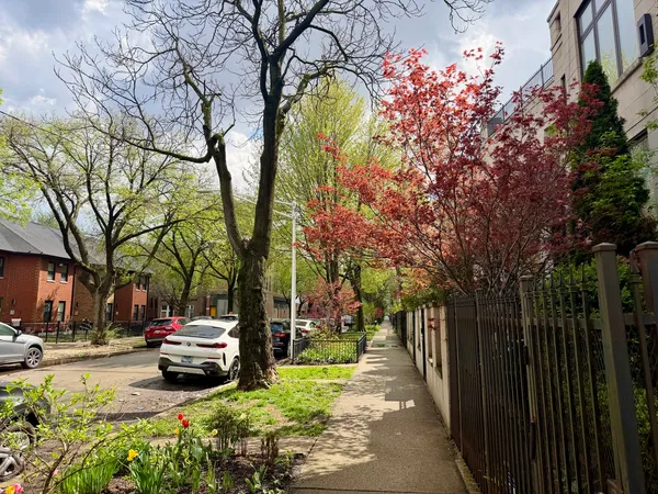 $3,500 | 1350 North Leavitt Street, Unit 2, Chicago, IL 60622
