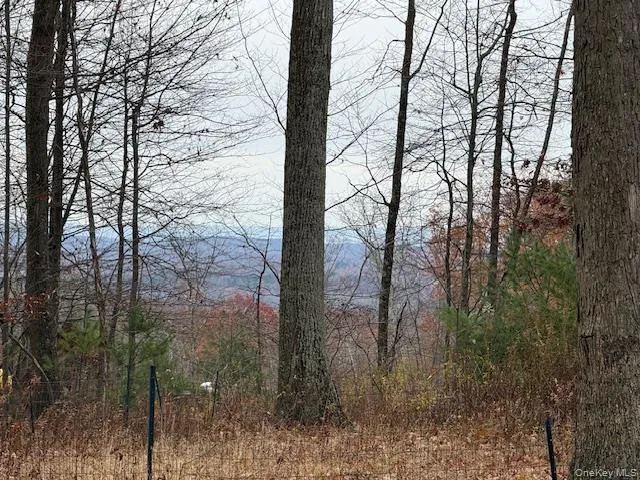 $315,000 | 532 Roosa Gap Road, Bloomingburg, NY 12721