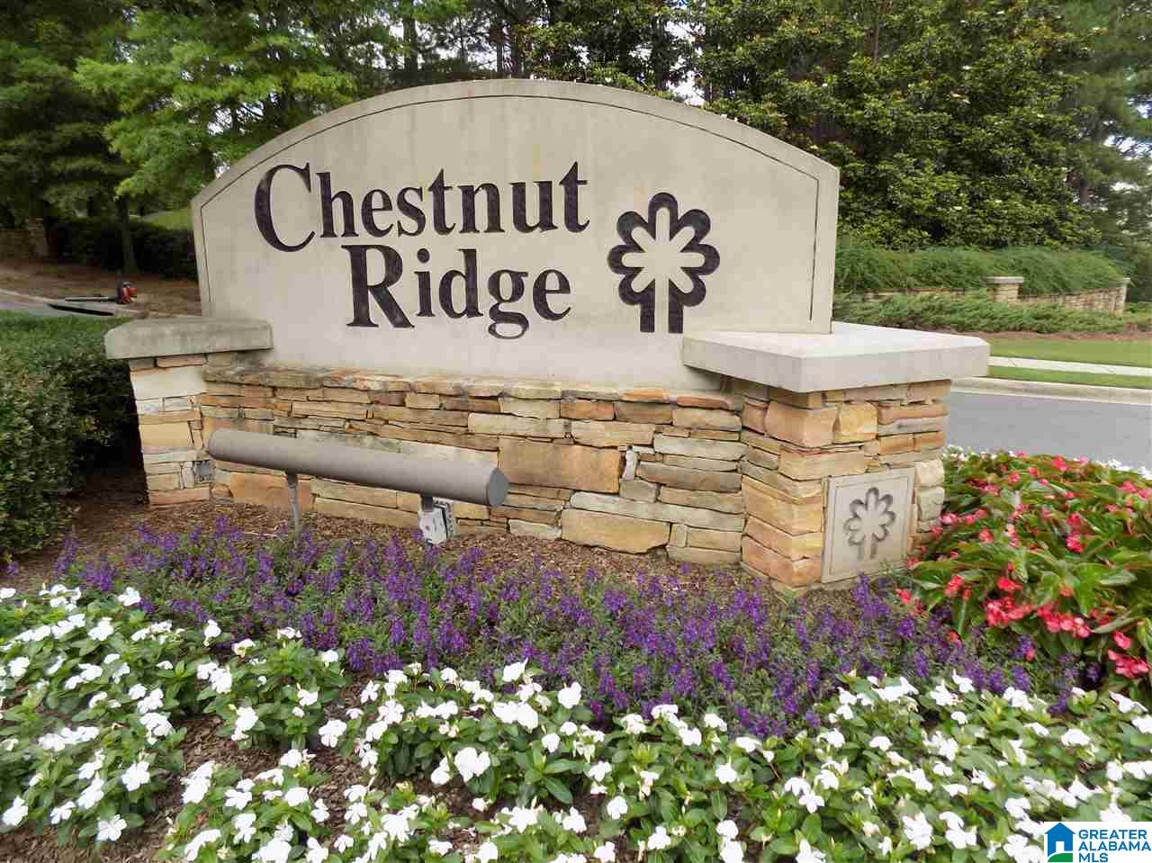 5692 Chestnut Trace Birmingham, AL 35244 - Photo 38 of 42