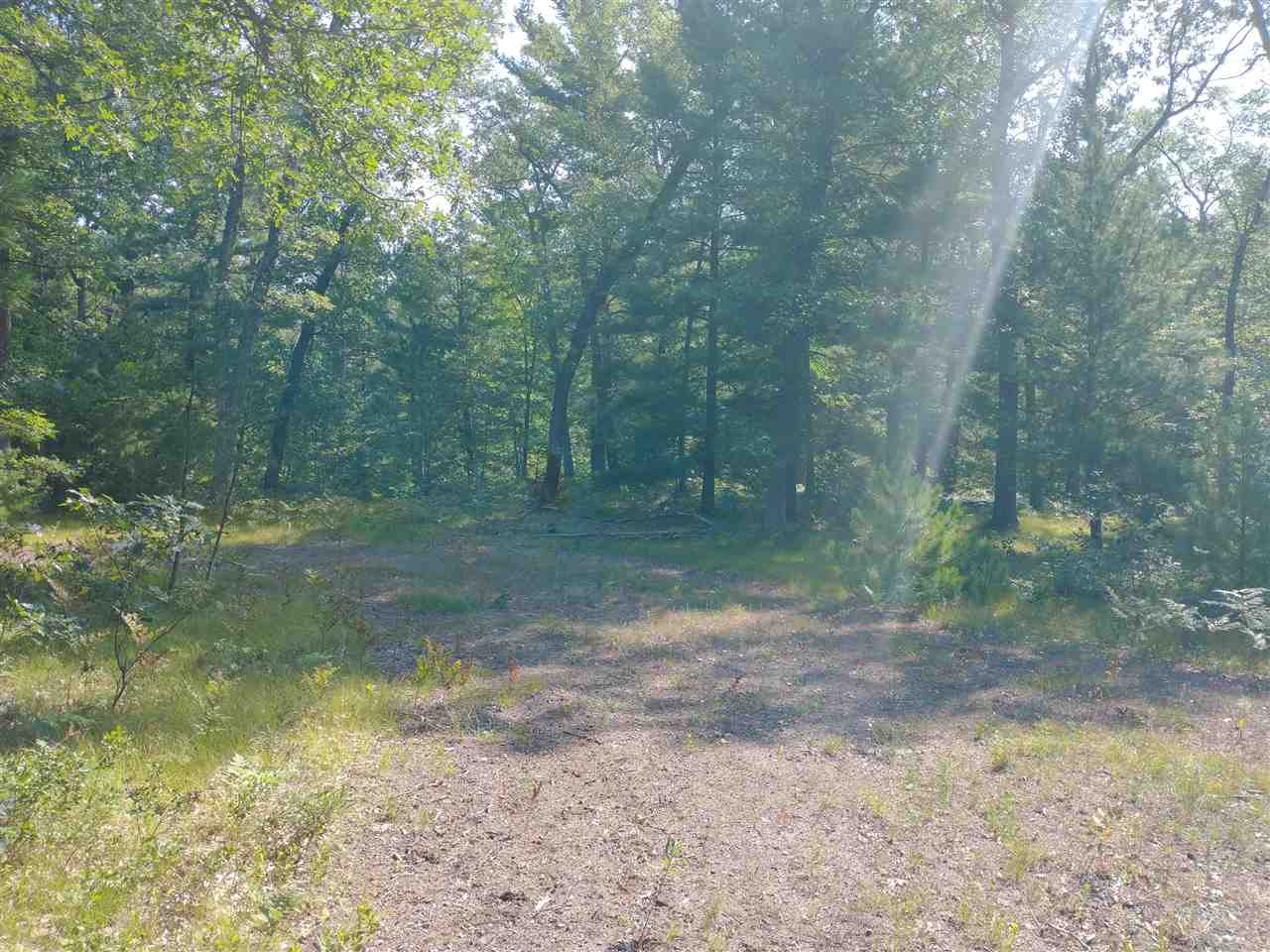 V/l Skocelas Road North Manistee, MI 49660 - Photo 7 of 12