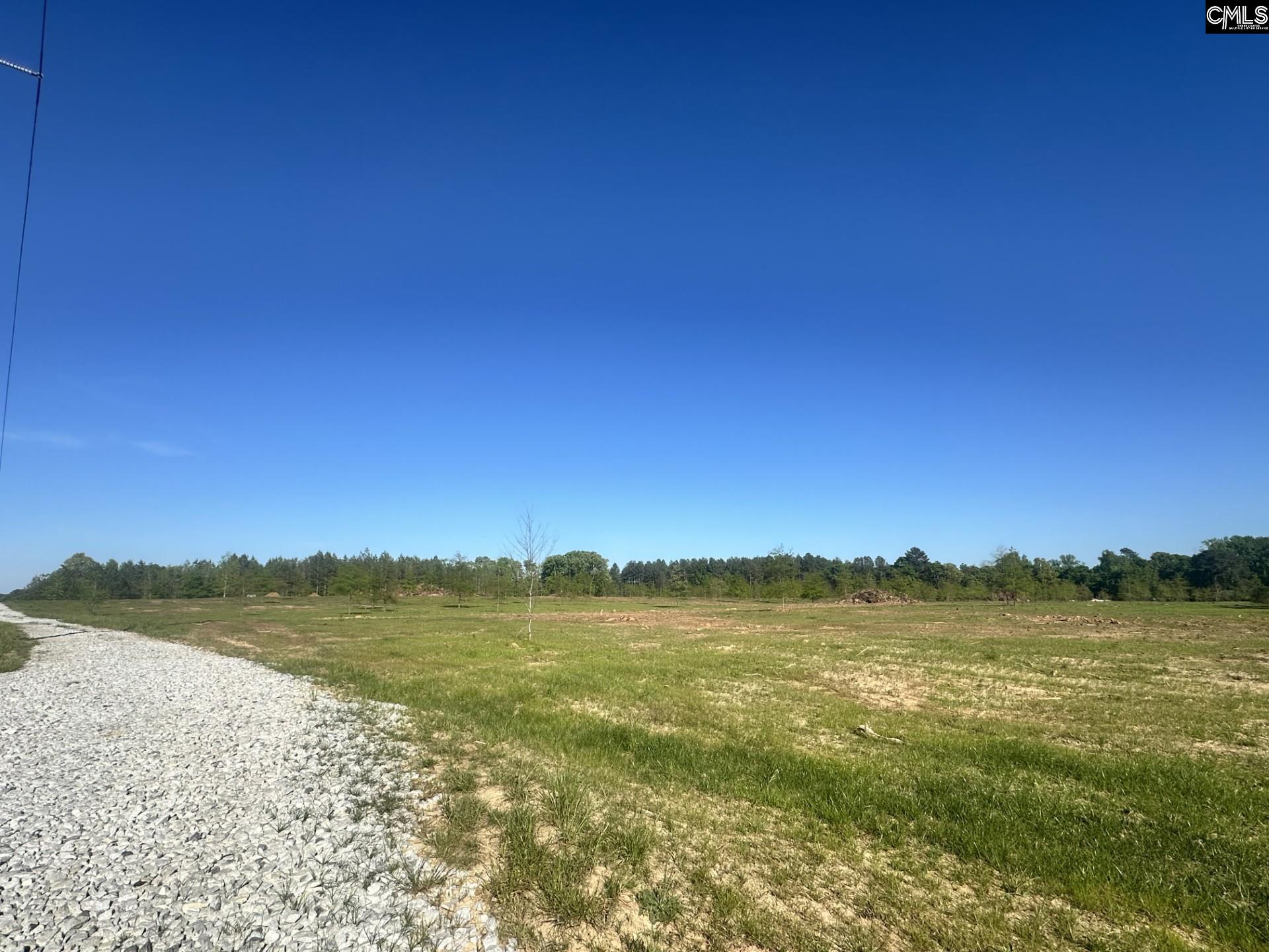 2145 Livingston Road Pomaria, SC 29126 - Photo 4 of 7