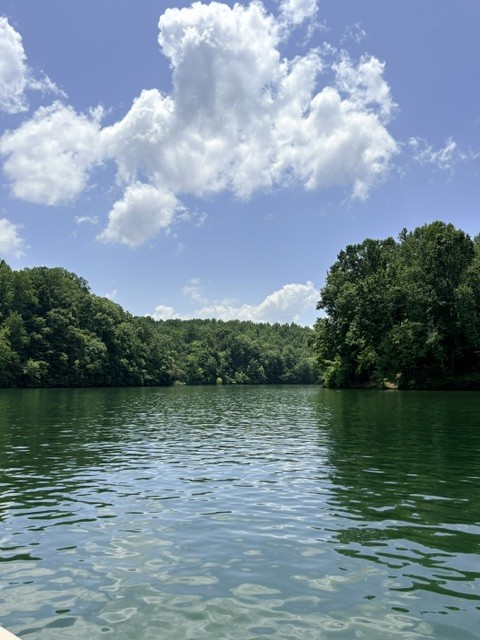 455 Hidden Ridge Lane Estill Springs, TN 37330 - Photo 27 of 28