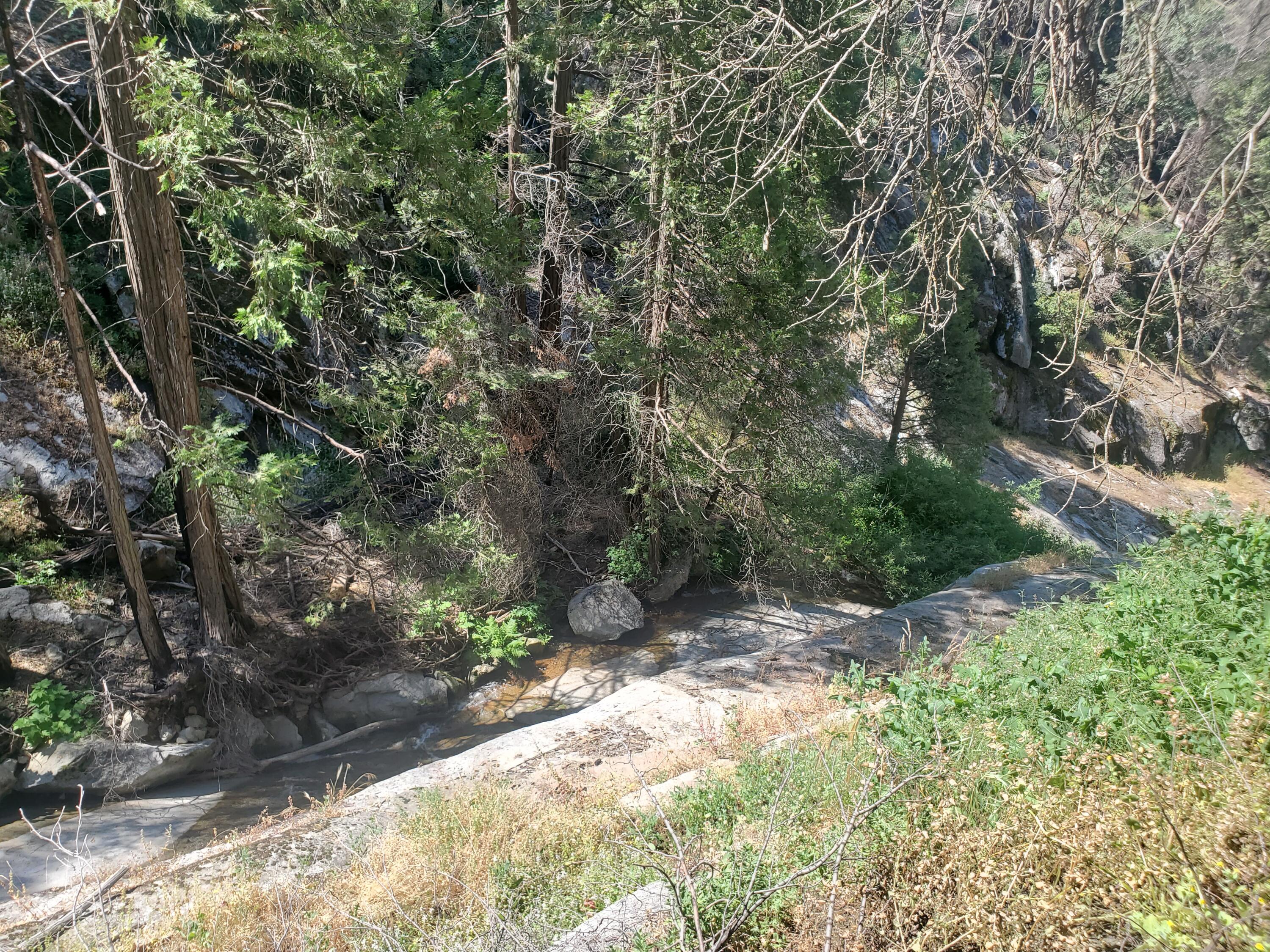 51955 Balch Park Road Springville, CA 93265 - Photo 11 of 21 20230718_104232