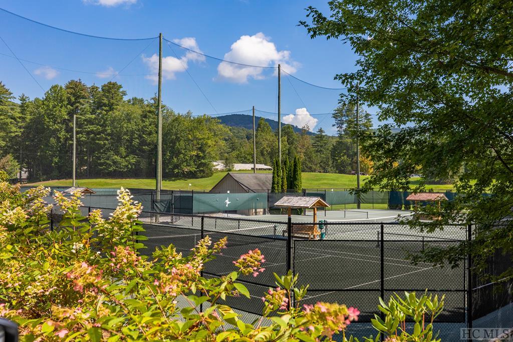 301 Deer Run Road Sapphire, NC 28774 - Photo 40 of 50 Gallery Image 40