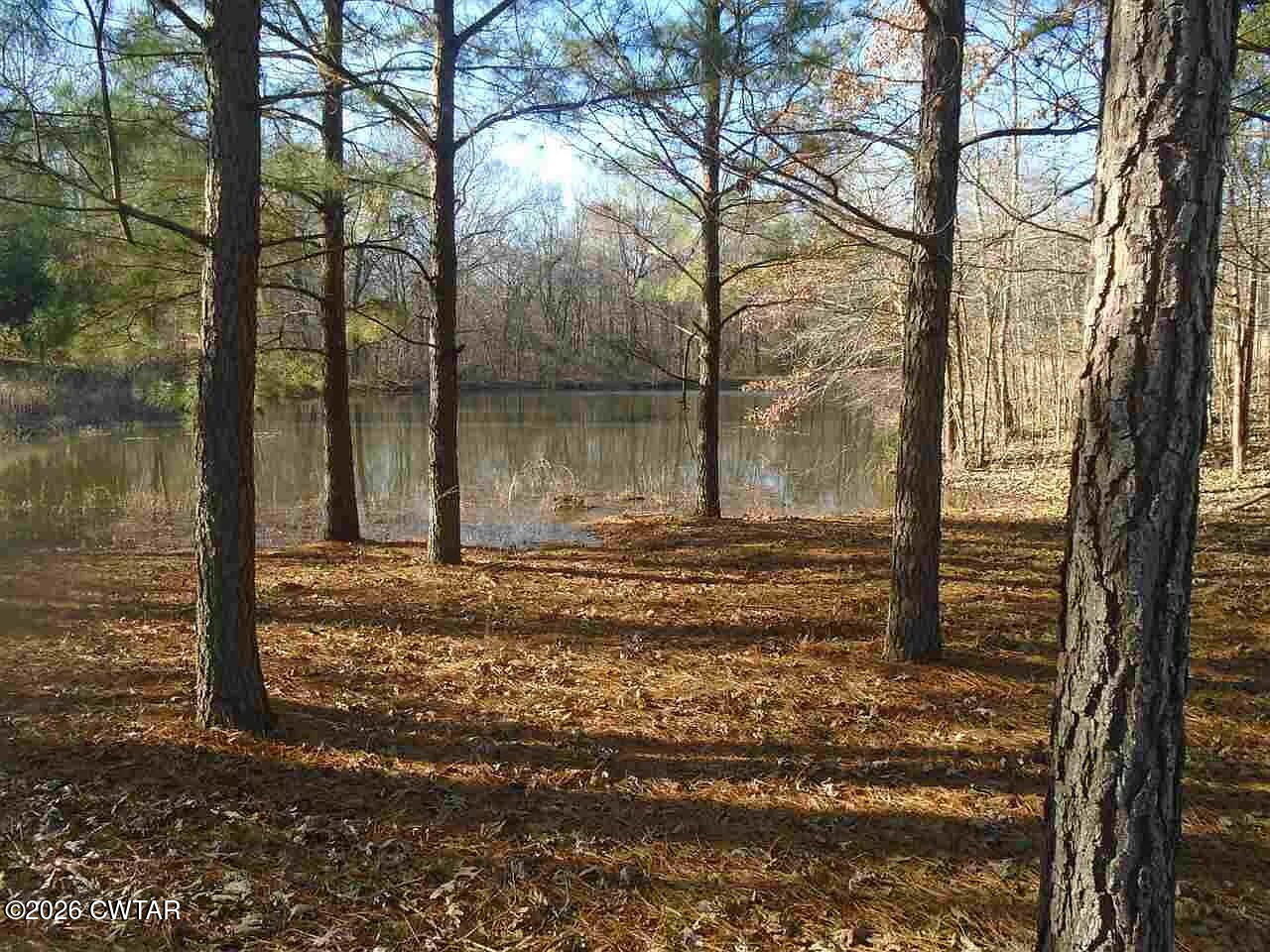 195 Ridge Road Medina, TN 38355 - Photo 5 of 14 a backyard of a house with lots of green space