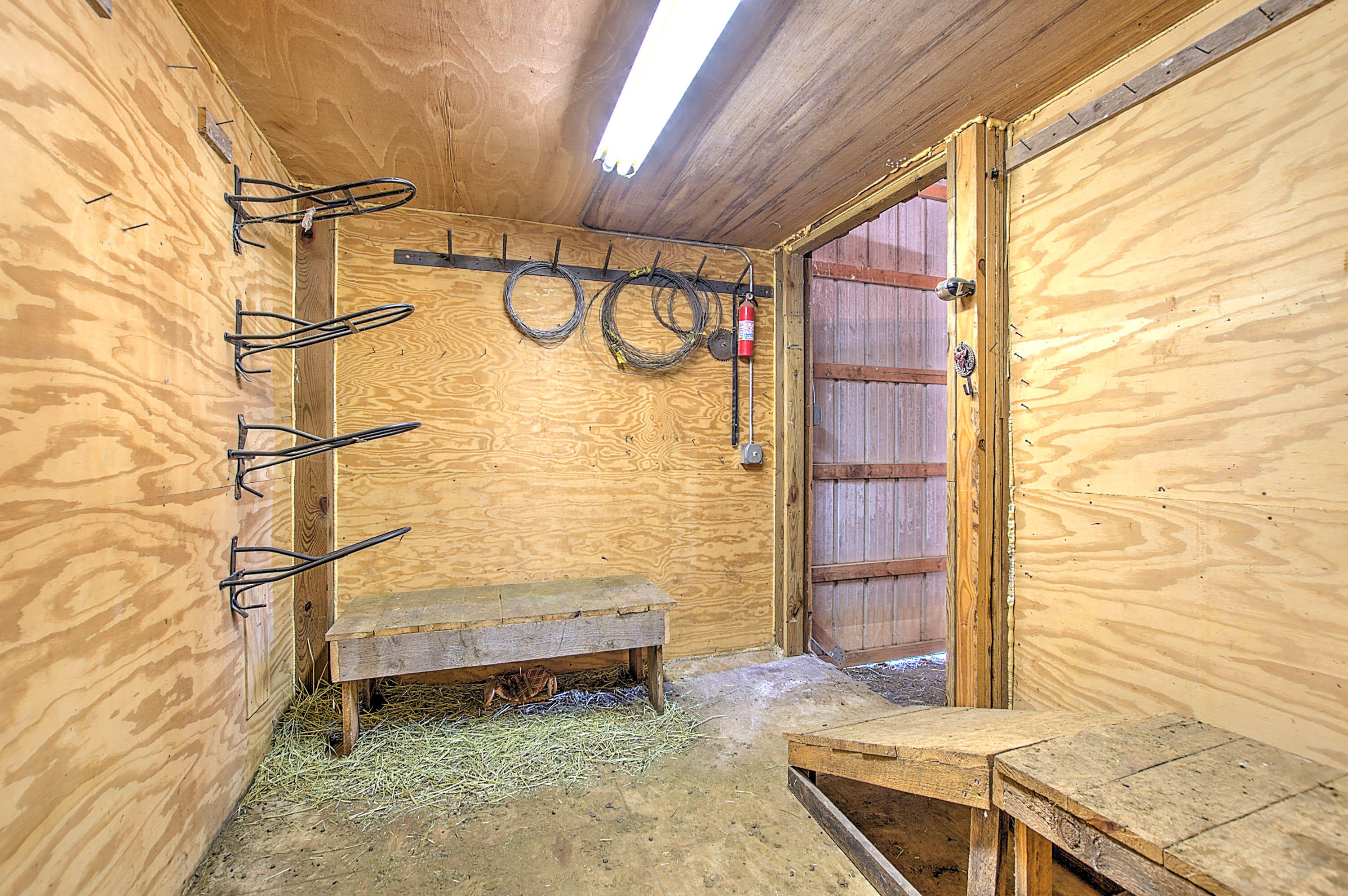 1145 Dashaway Road Chuckey, TN 37641 - Photo 30 of 49 Dashaway-30