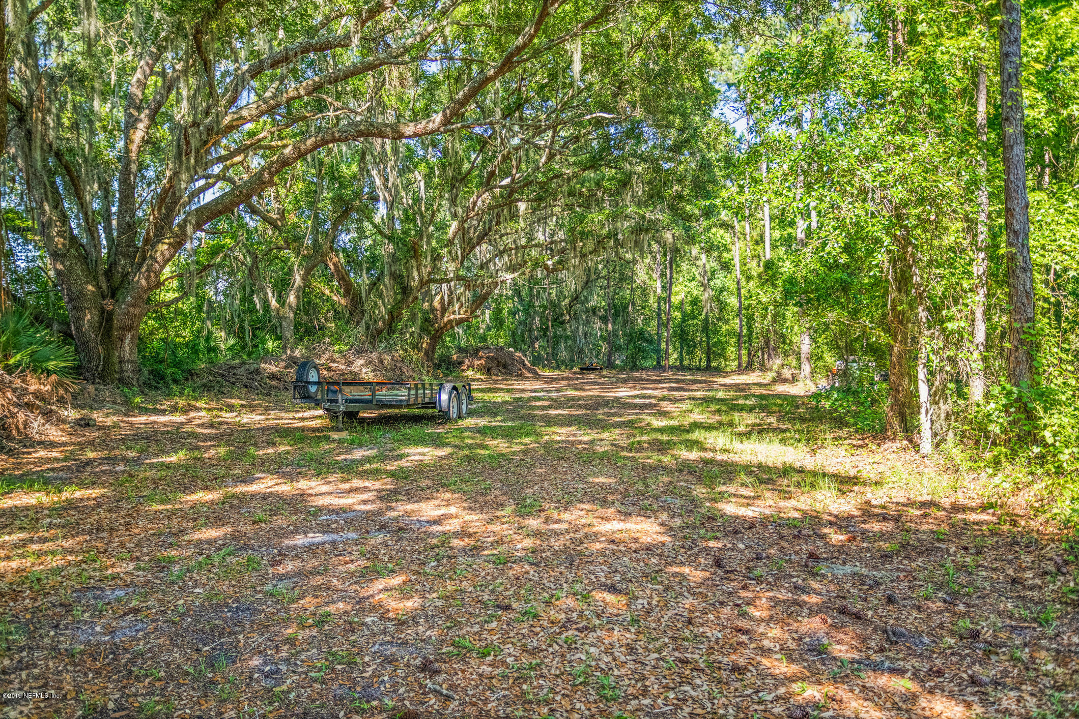 5655 Don Manuel Road Elkton, FL 32033 - Photo 11 of 53 BY1A1215
