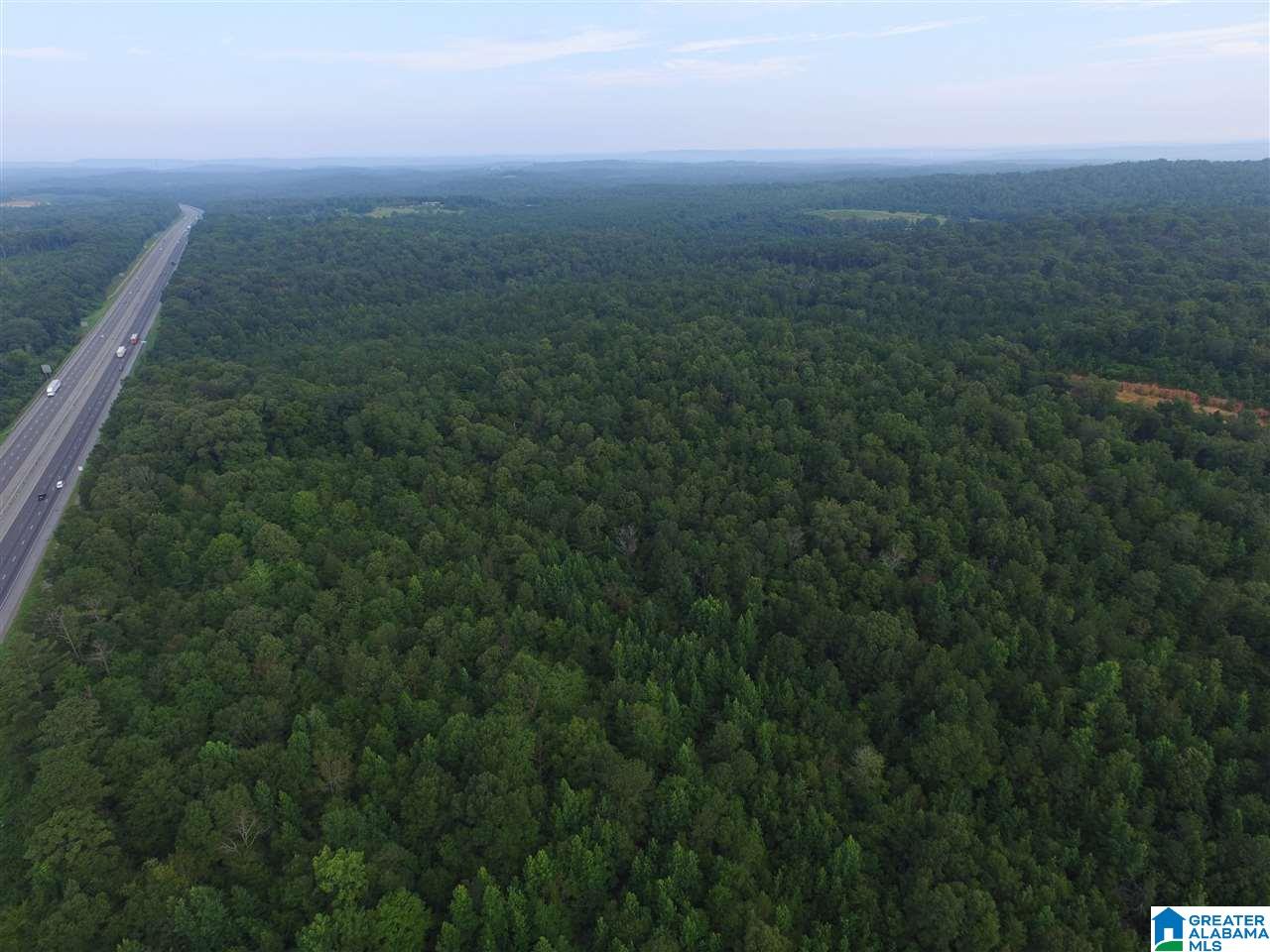 0 Morris Farms Drive Riverside, AL 35135 - Photo 8 of 18