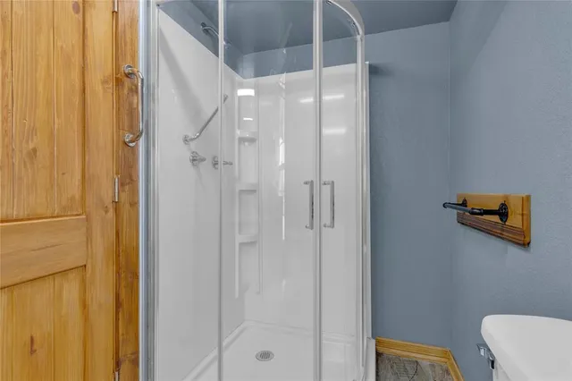 a bathroom with a shower and a toilet
